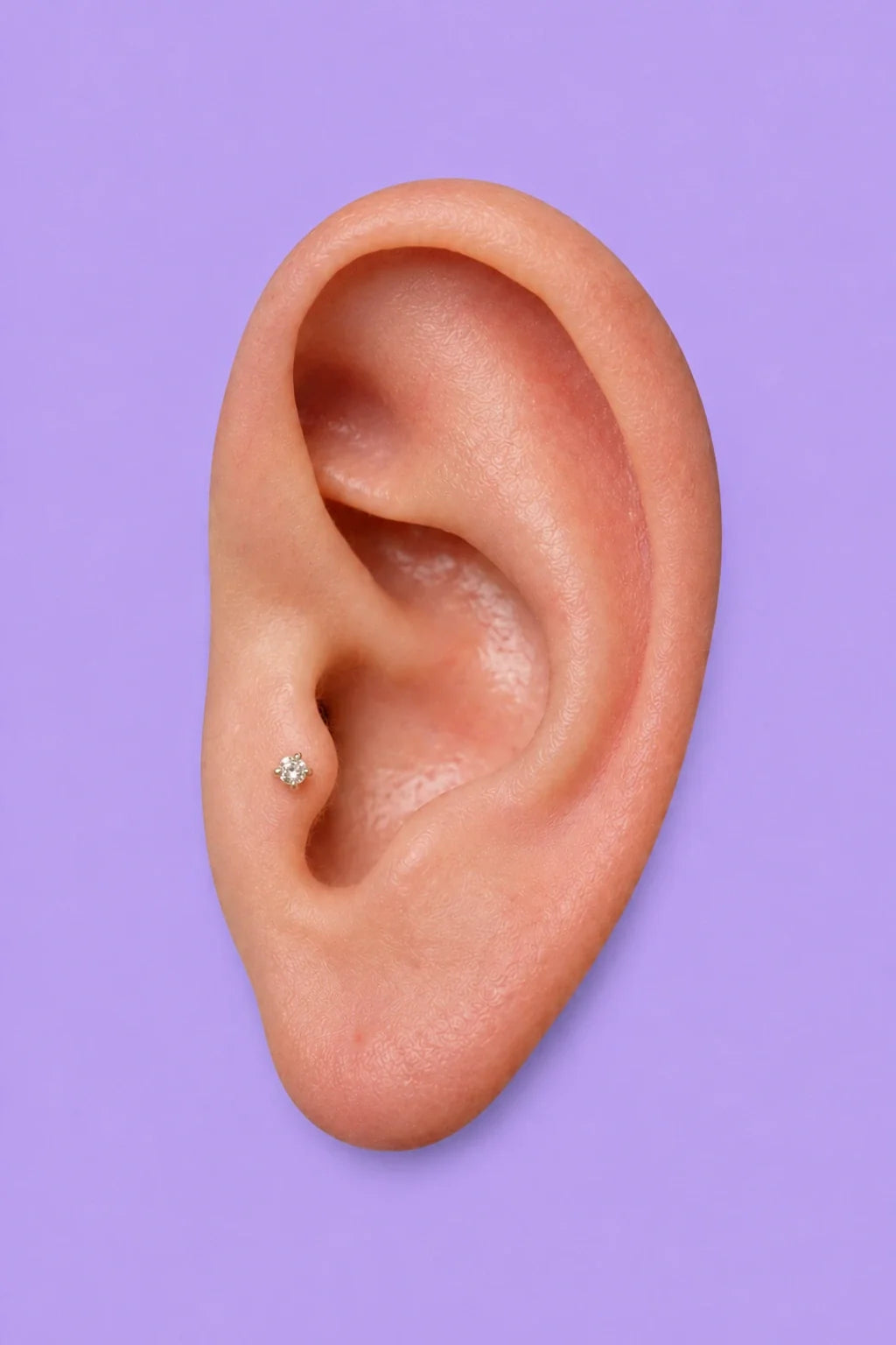 Piercing tragus em titânio G23, estilo borboleta com pedra de zircônia na orelha da modelo