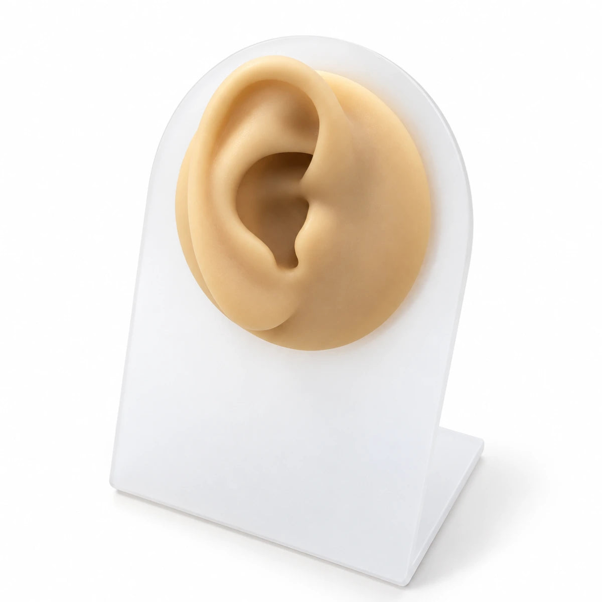 Expositor de Orelha em Silicone para Joias e Piercings